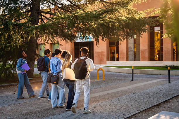 How Academic Education Develop Practical Skills Today