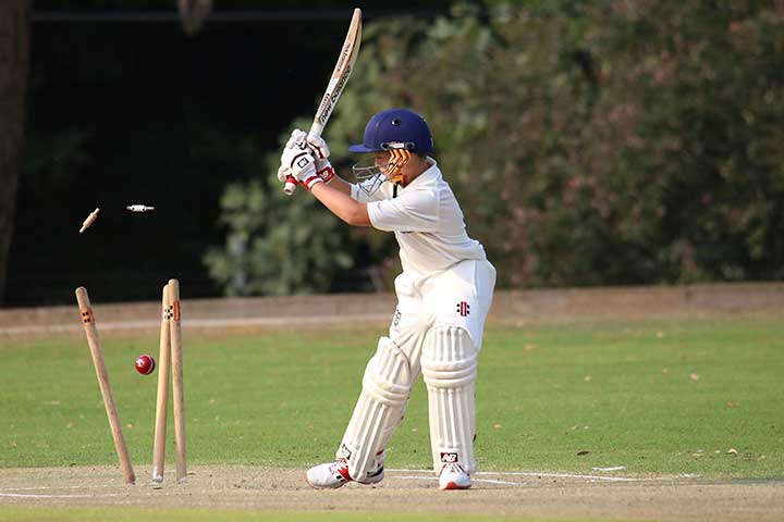 Wheon Cricket 07: The Ultimate Classic Cricket Game Experience