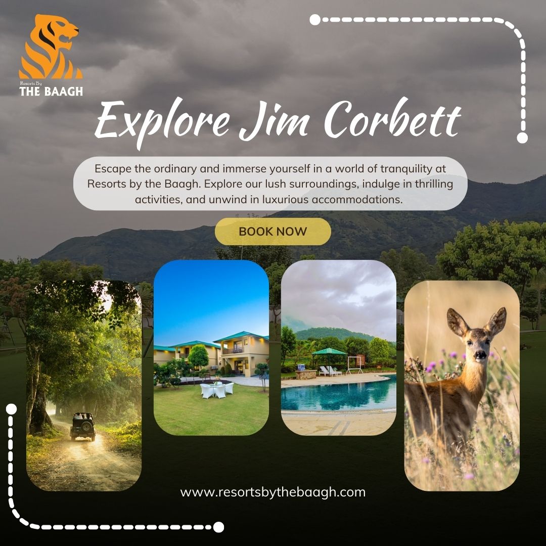 Family Bonding Redefined: Enjoy an August Long Weekend at Resorts by the Baagh