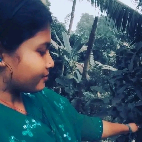 ଶୀର୍ଷକ 
