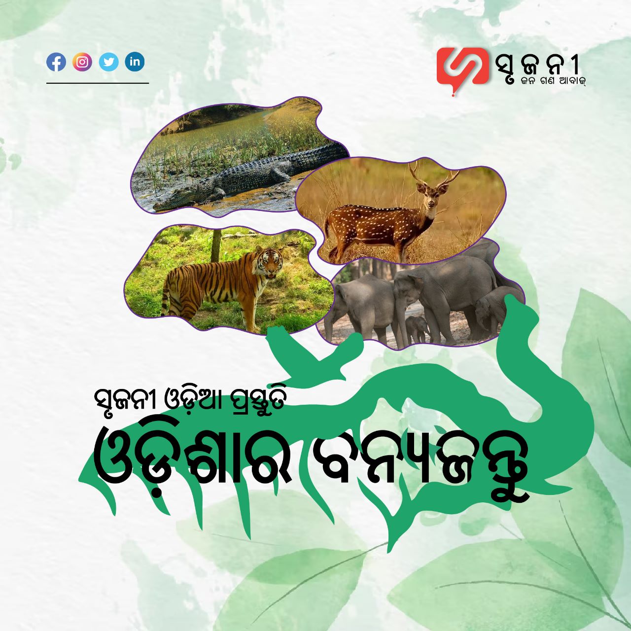 ଓଡ଼ିଶାର ବନ୍ୟଜନ୍ତୁ ଅଭୟାରଣ୍ୟ