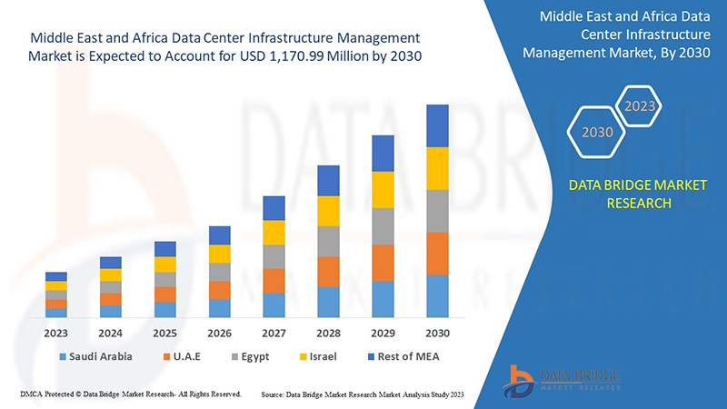 Middle East and Africa Data Center Infrastructure Management Market Expands Amid Rising Cloud and Io