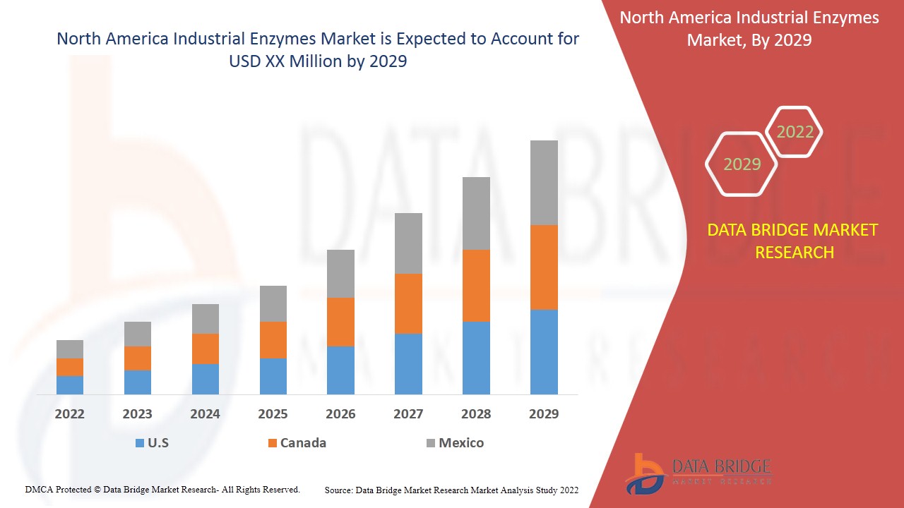 North America Industrial Enzymes Market Strengthens with Advances in Biotechnology and Green Chemist