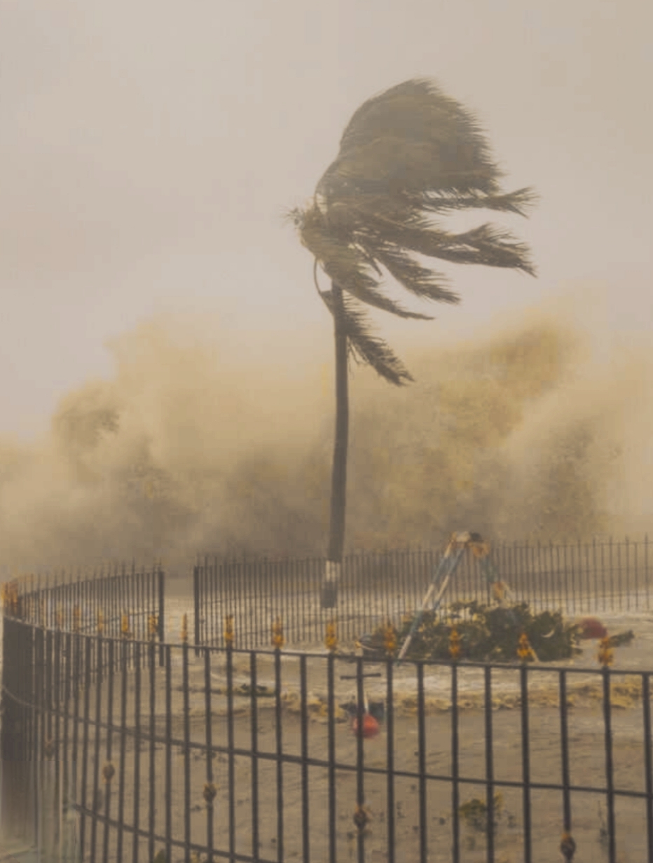 ହୃଦ ବିଦାରକ ବାତ୍ୟା