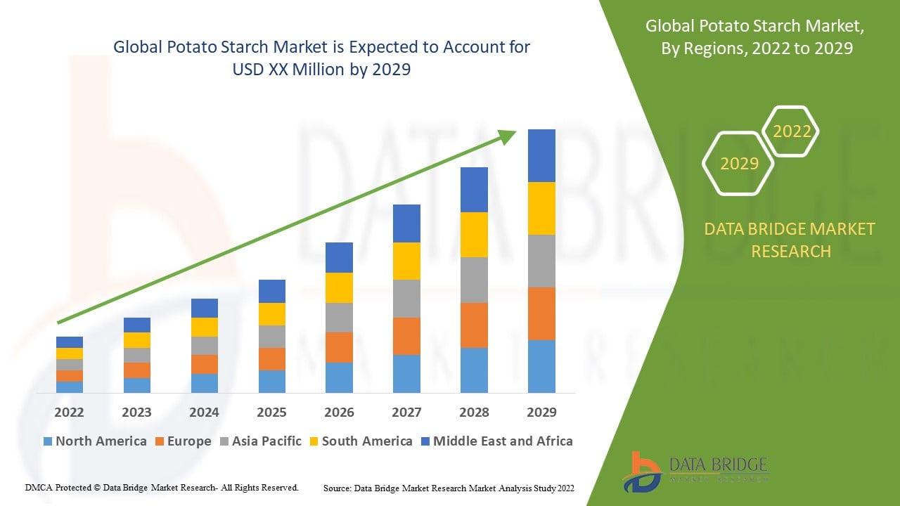 Potato Starch Market: Industrial Applications, Supply Chain Insights, and Growth Projections