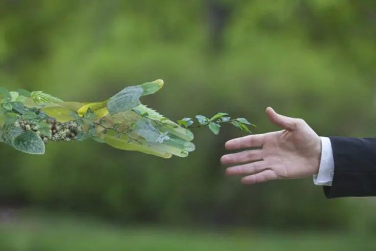 भारत में जलवायु वित्त 