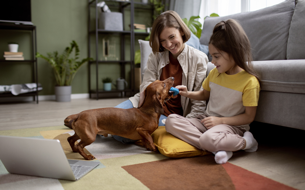 Small Family-Friendly Dog Breeds for Apartment Living