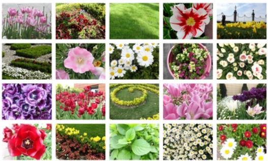 फूलों के नाम हिंदी में: बच्चों के लिए मज़ेदार सीख|Names of Flowers in Hindi