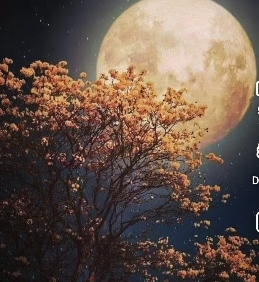 ଜହ୍ନ......