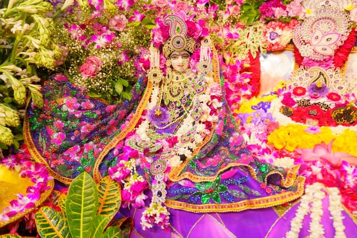 ଦର୍ଶନ ଲାଳସା 