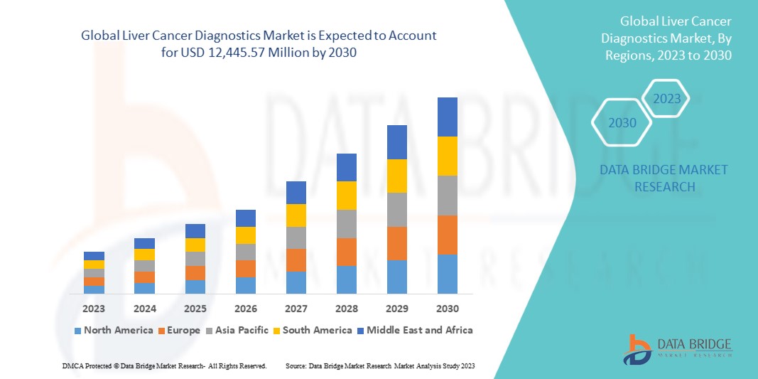 Liver Cancer Diagnostics Market Size, Trends Analysis and Forecast by 2030
