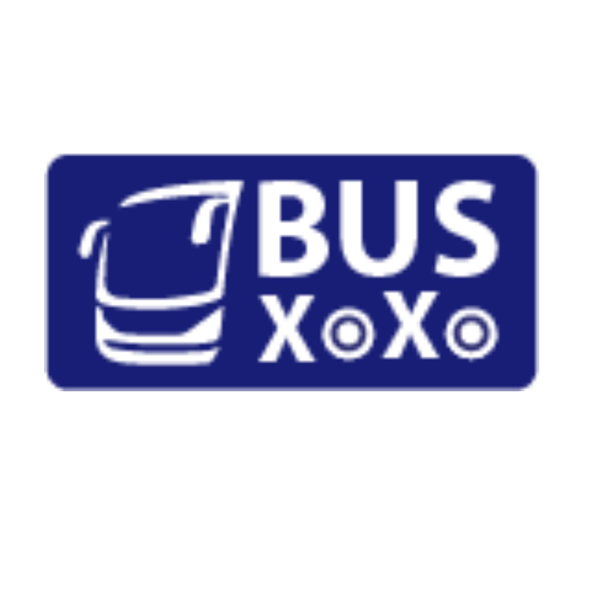 How many types of charter buses are available for a vacation trip