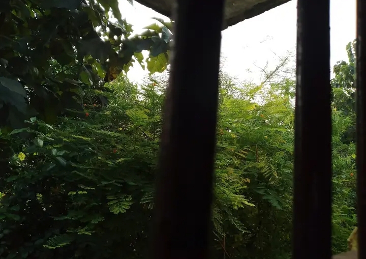 ଝରକା ସେପାଖେ.......
‎