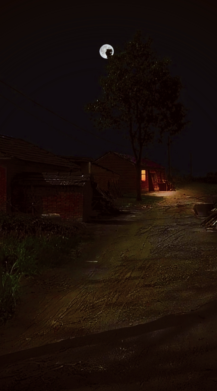 ଭ୍ରମମୟ ପାହାନ୍ତି ସକାଳ 